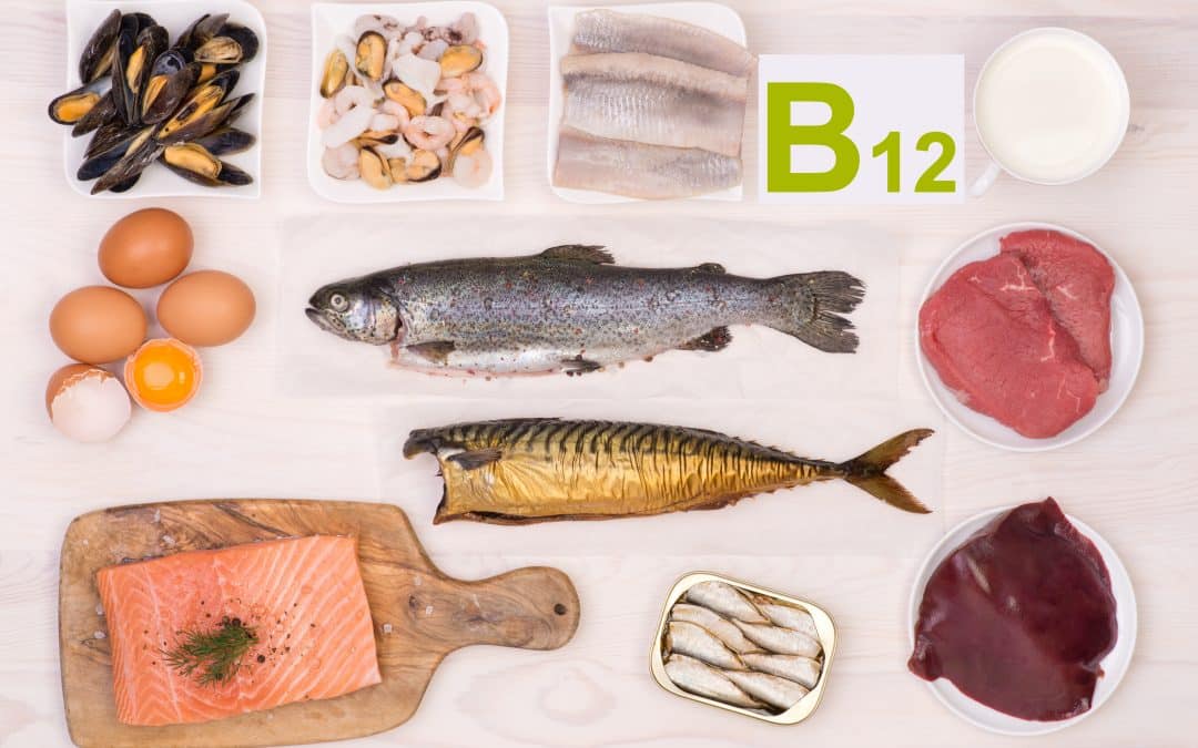b12 waar zit dat in b12 waar zit dat in