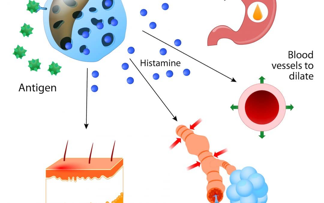 Histamine deel 1: Jeuk, uitslag, paniek, hooikoorts, huisstofmijt en andere allergieën?