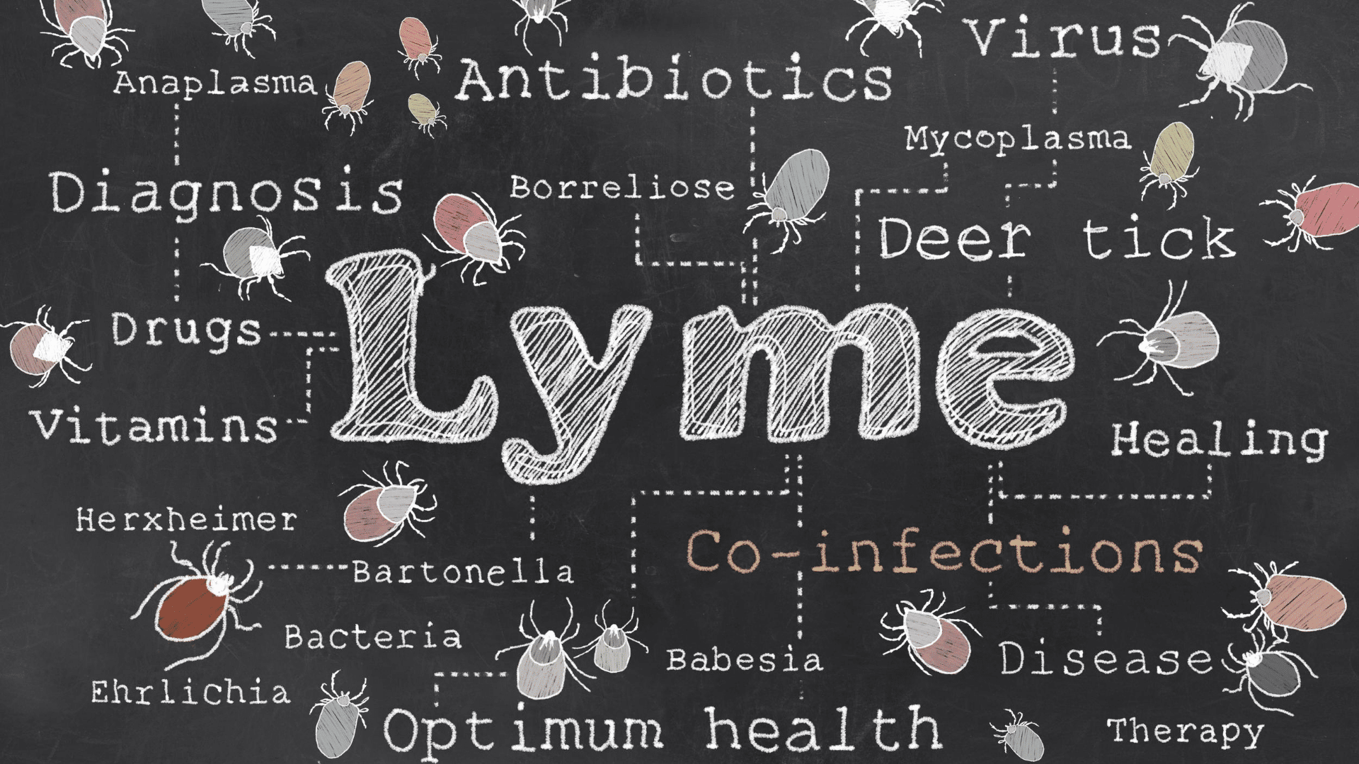 De ziekte van Lyme